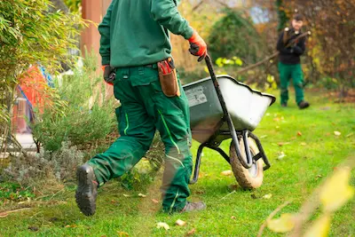 Seasonal Cleanup